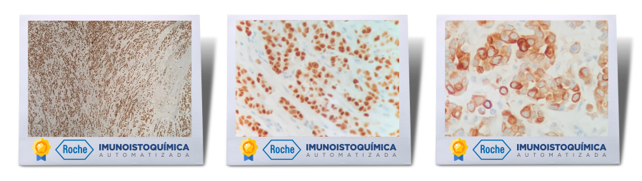 Imagens reais de Exames Realizados - Laboratório Citomed